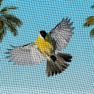 10 x 50m Anti Bird Net Netting Protect Fruit Trees 30GSM 5mm Holes - Dodosales