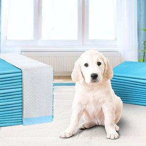 400x Puppy Dog Pet Training Pads Cat Toilet 60 x 60cm Super Absorbent Indoor Disposable - Dodosales