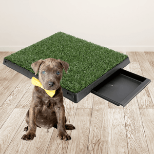 Indoor Pet Dog Potty Tray Training Toilet Puppy Old Dog Portable Loo 63cm x 50cm